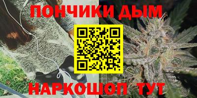 гидра Кингисепп