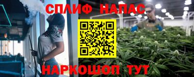 гидра Кингисепп