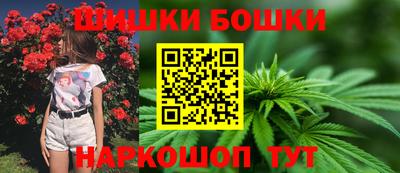 гидра Кингисепп