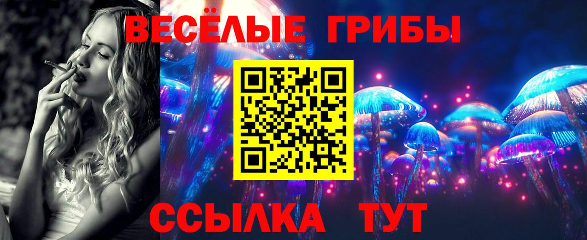 Галлюциногенные грибы GOLDEN TEACHER  Вход с VPN  Киселёвск 